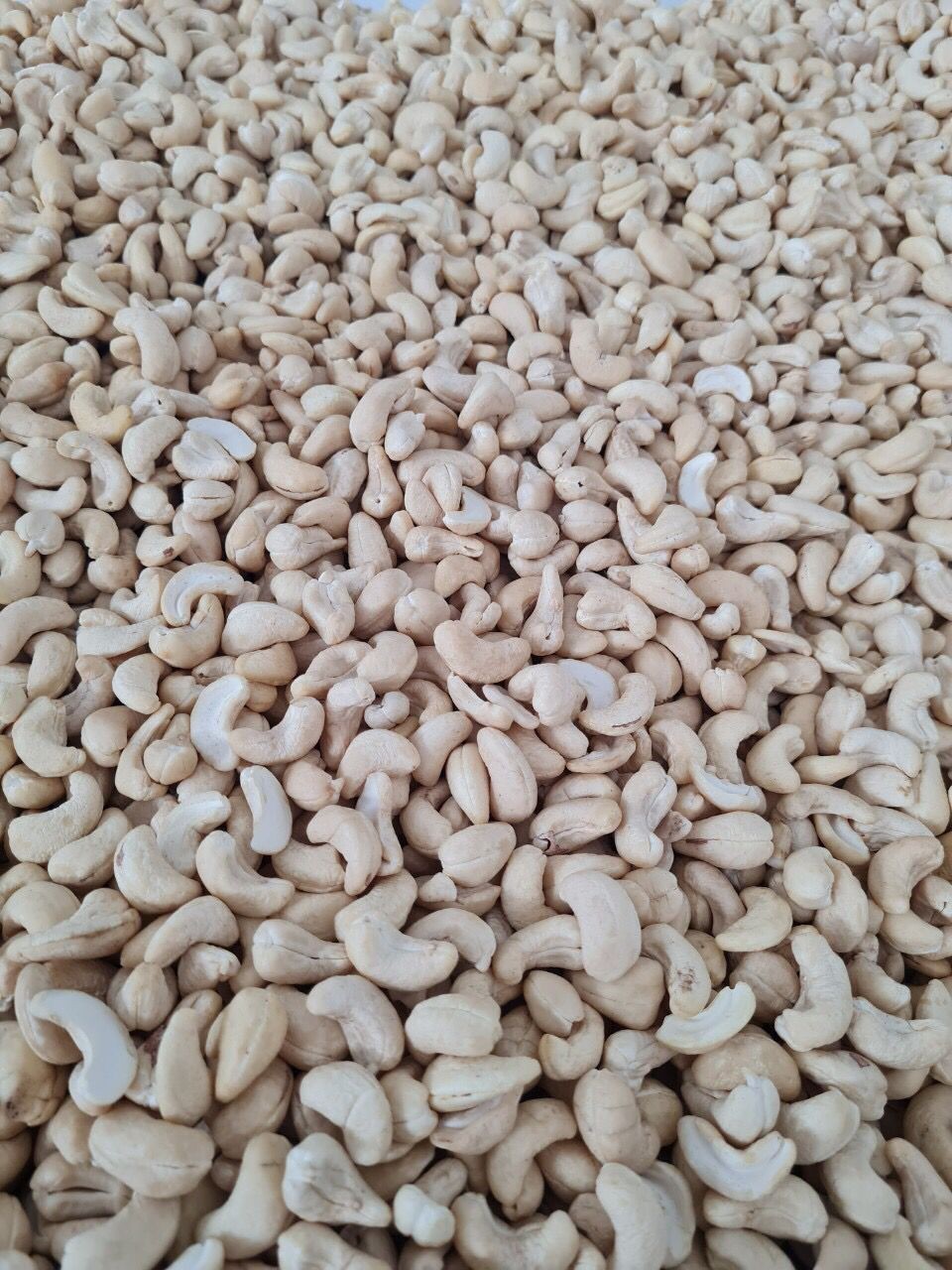 Cashew Nuts